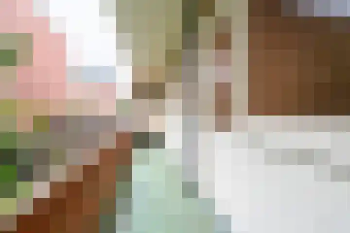 Moddermanlaan 41 Groningen thumbnail 35