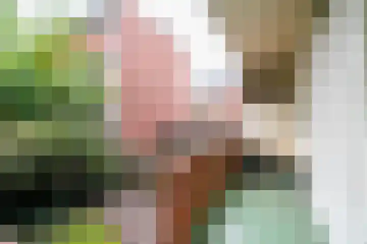 Moddermanlaan 41 Groningen thumbnail 36