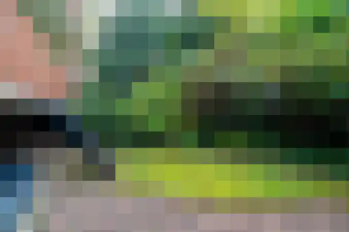 Moddermanlaan 41 Groningen thumbnail 38