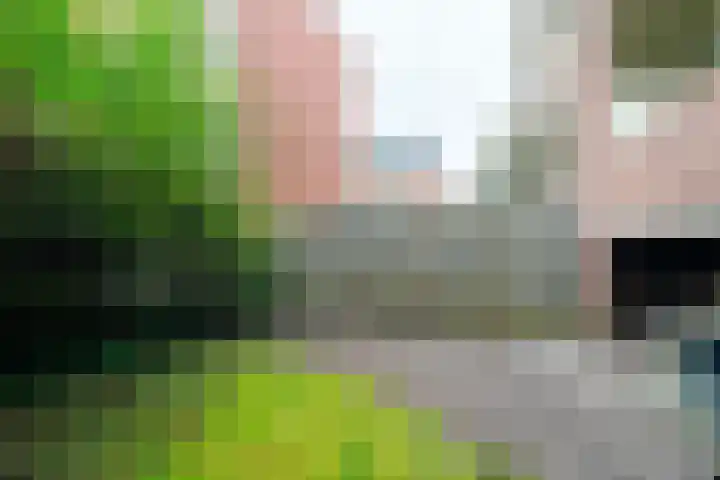 Moddermanlaan 41 Groningen thumbnail 6
