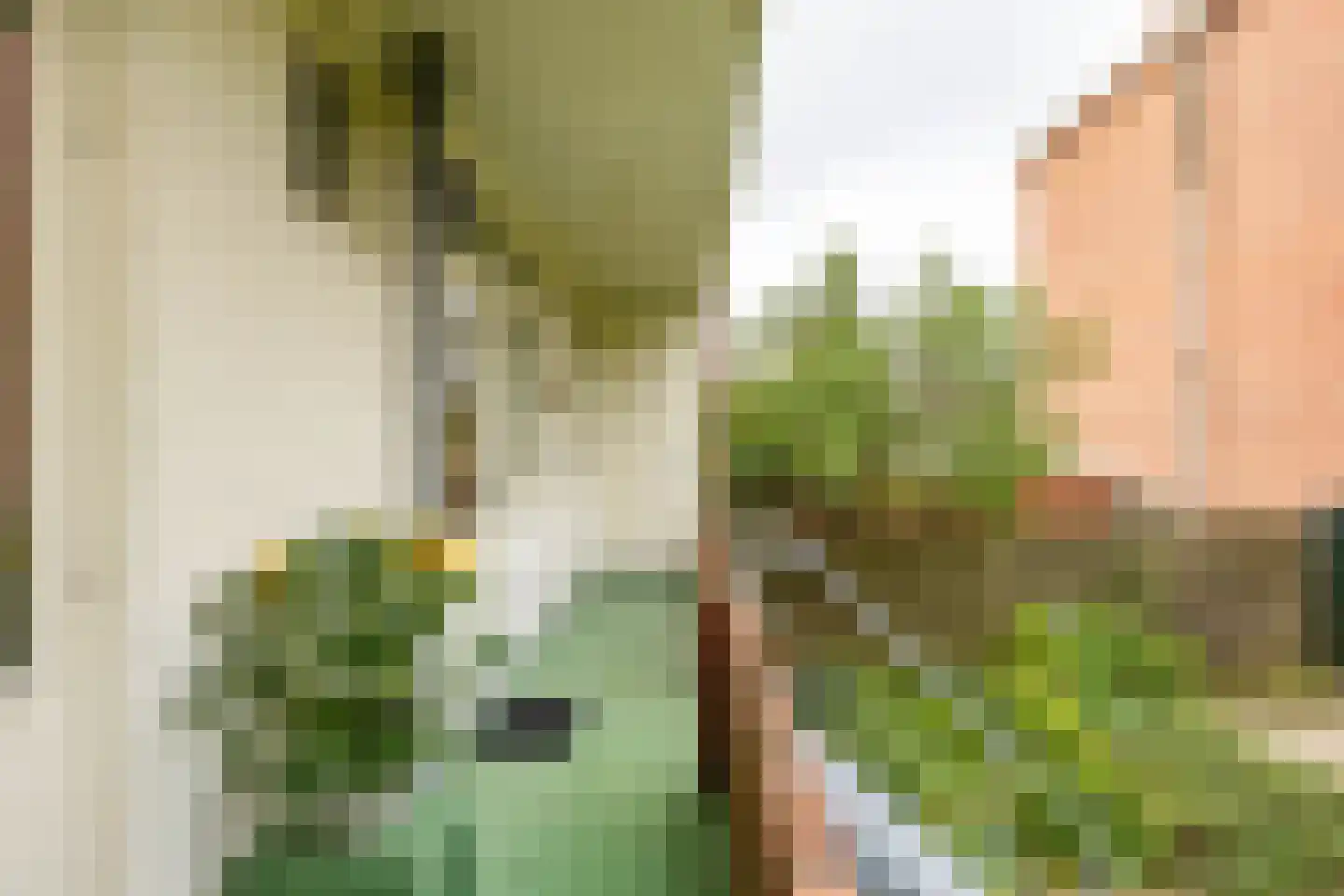 Moddermanlaan 53 Groningen thumbnail 30