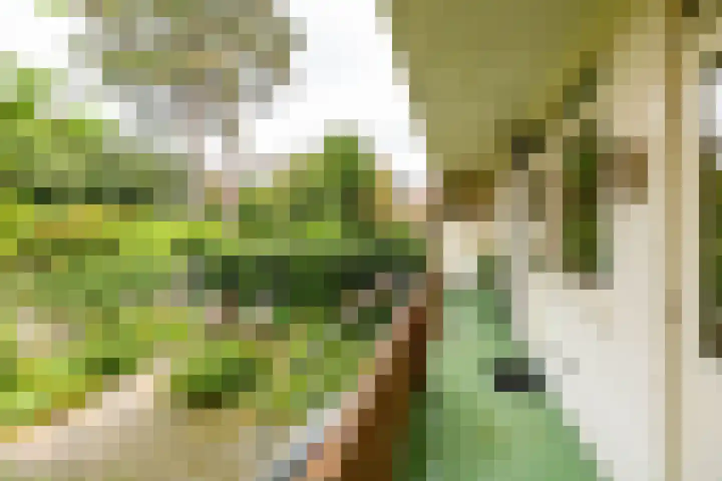 Moddermanlaan 53 Groningen thumbnail 31