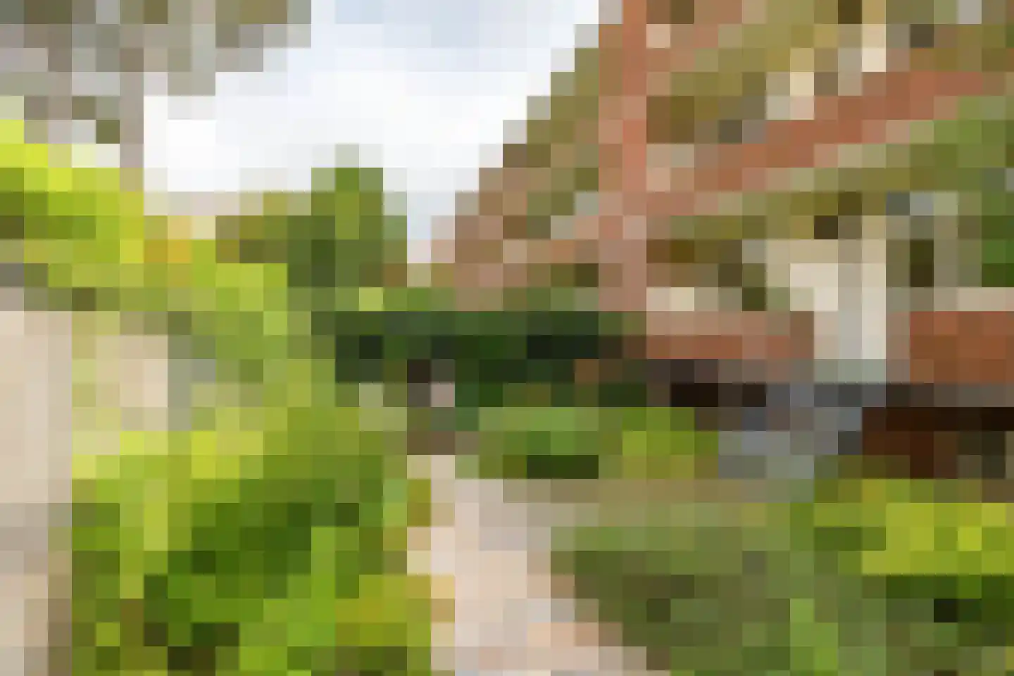Moddermanlaan 53 Groningen thumbnail 32