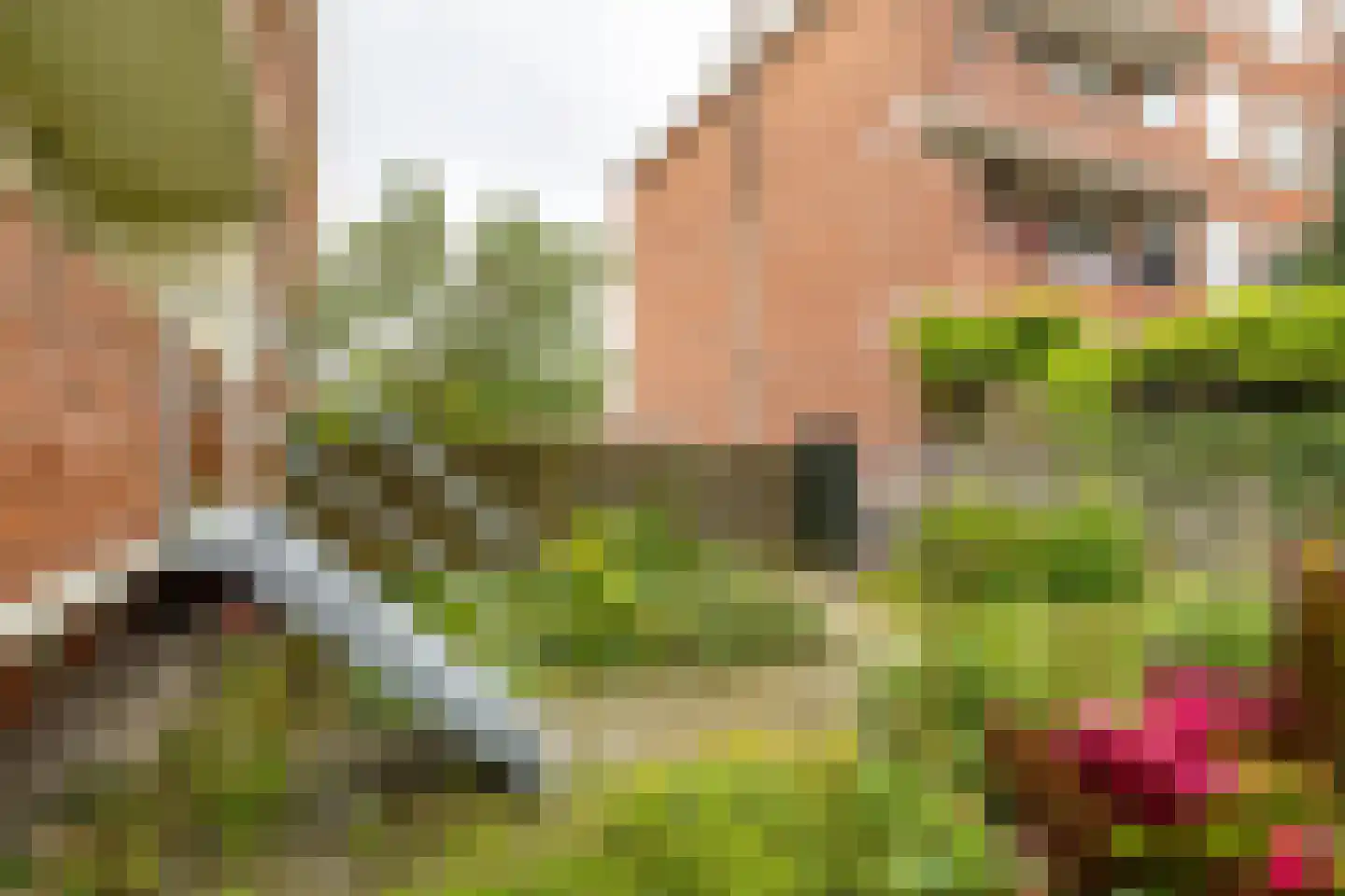 Moddermanlaan 53 Groningen thumbnail 33