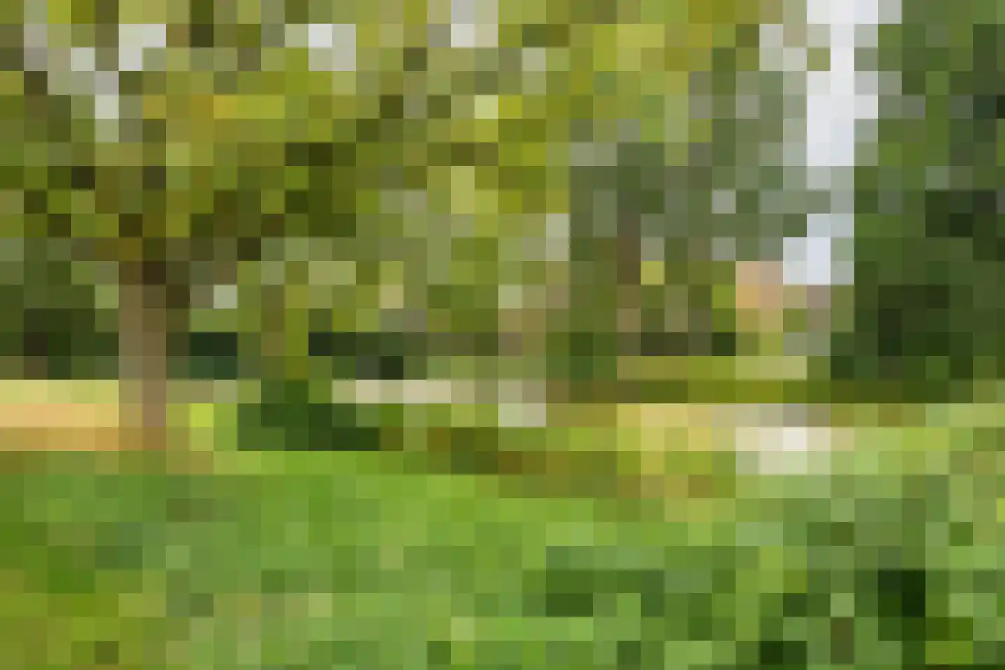 Moddermanlaan 53 Groningen thumbnail 42