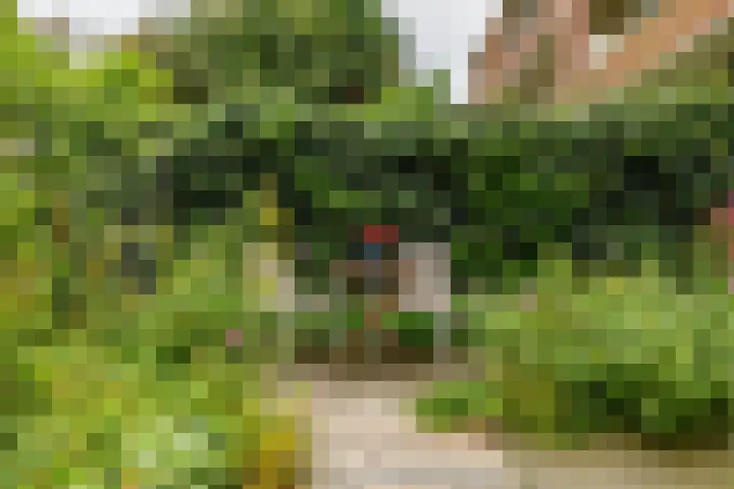 Moddermanlaan 53 Groningen thumbnail 5