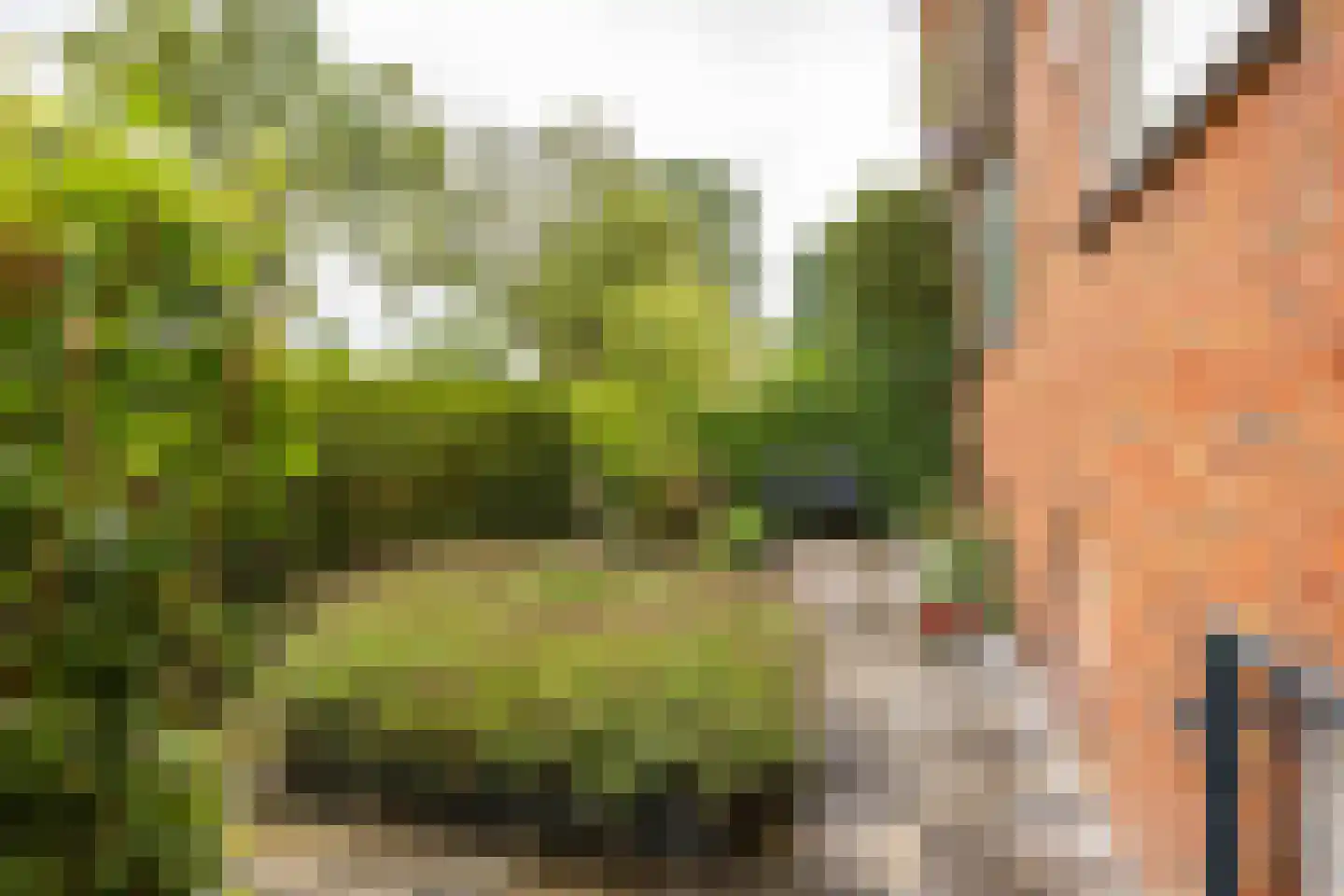 Moddermanlaan 53 Groningen thumbnail 7