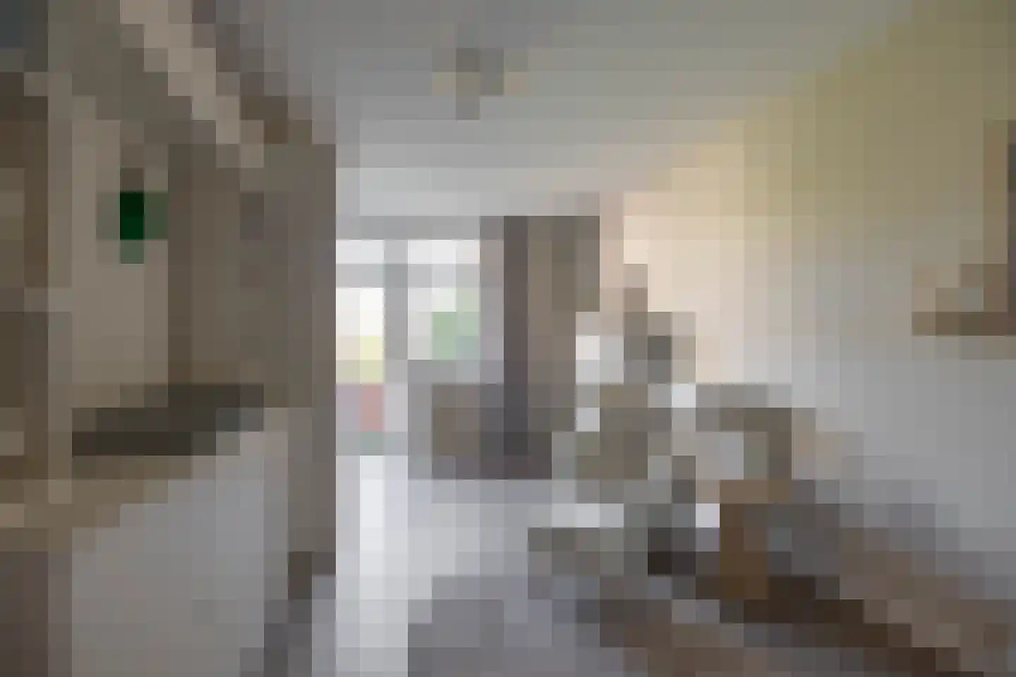 Moddermanlaan 59 Groningen thumbnail 20