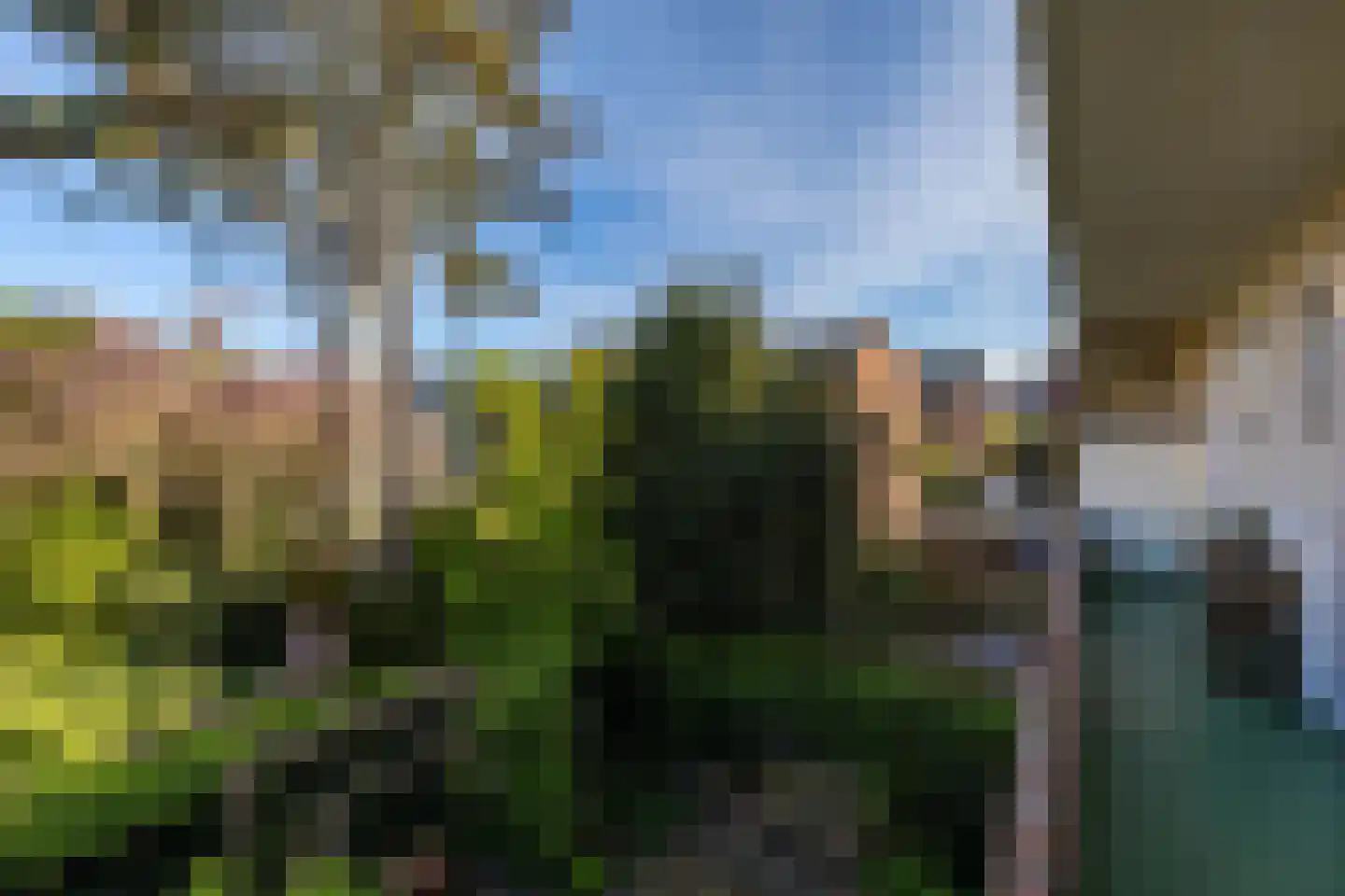 Moddermanlaan 59 Groningen thumbnail 4