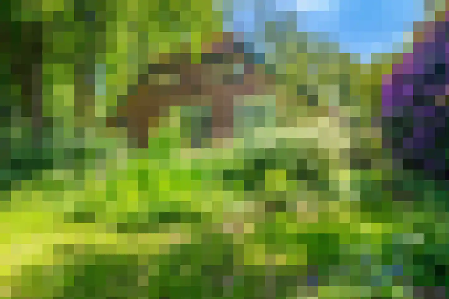 Moddermanspad 4 Bourtange thumbnail 10