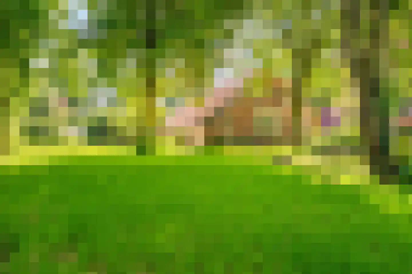 Moddermanspad 4 Bourtange thumbnail 11