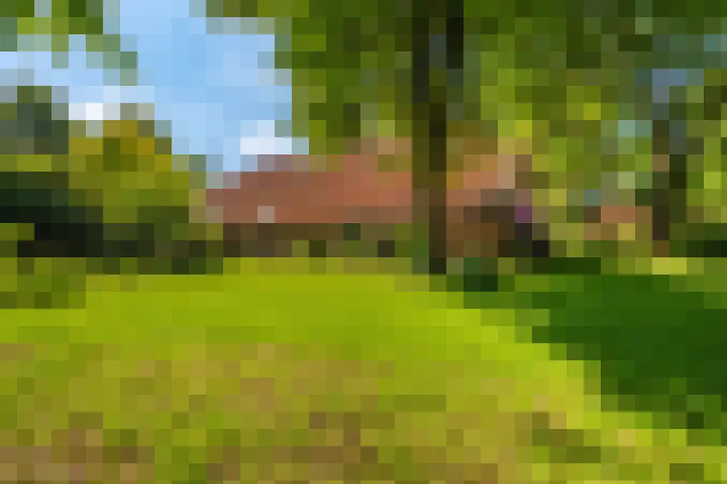 Moddermanspad 4 Bourtange thumbnail 12