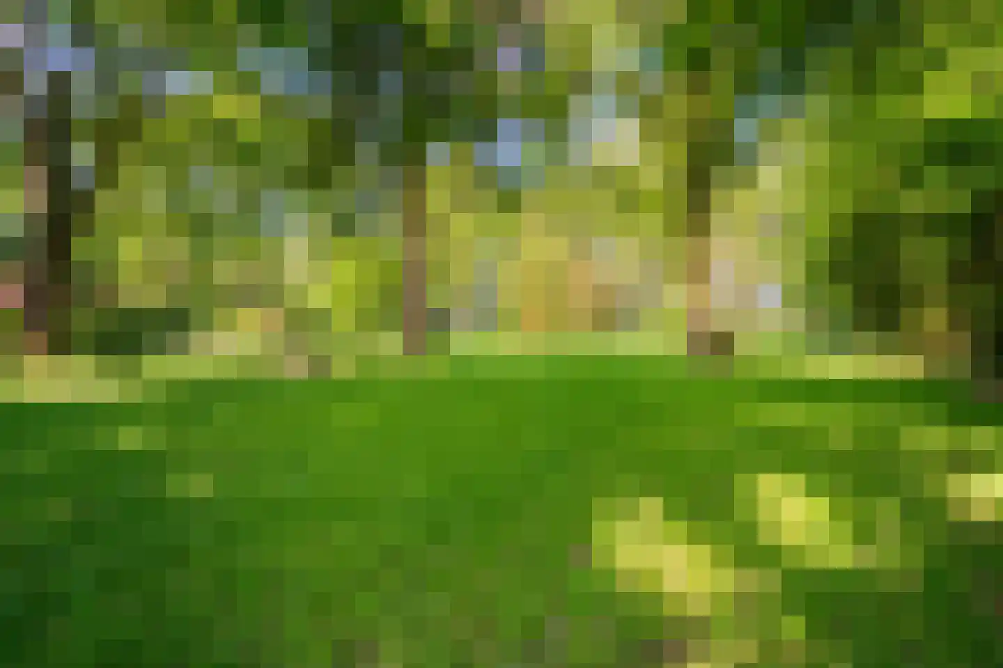 Moddermanspad 4 Bourtange thumbnail 13