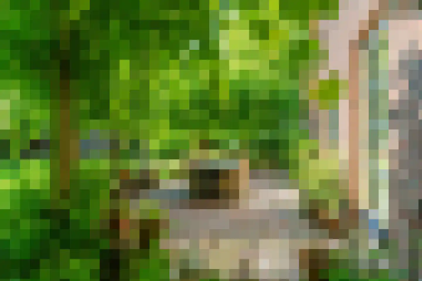 Moddermanspad 4 Bourtange thumbnail 15