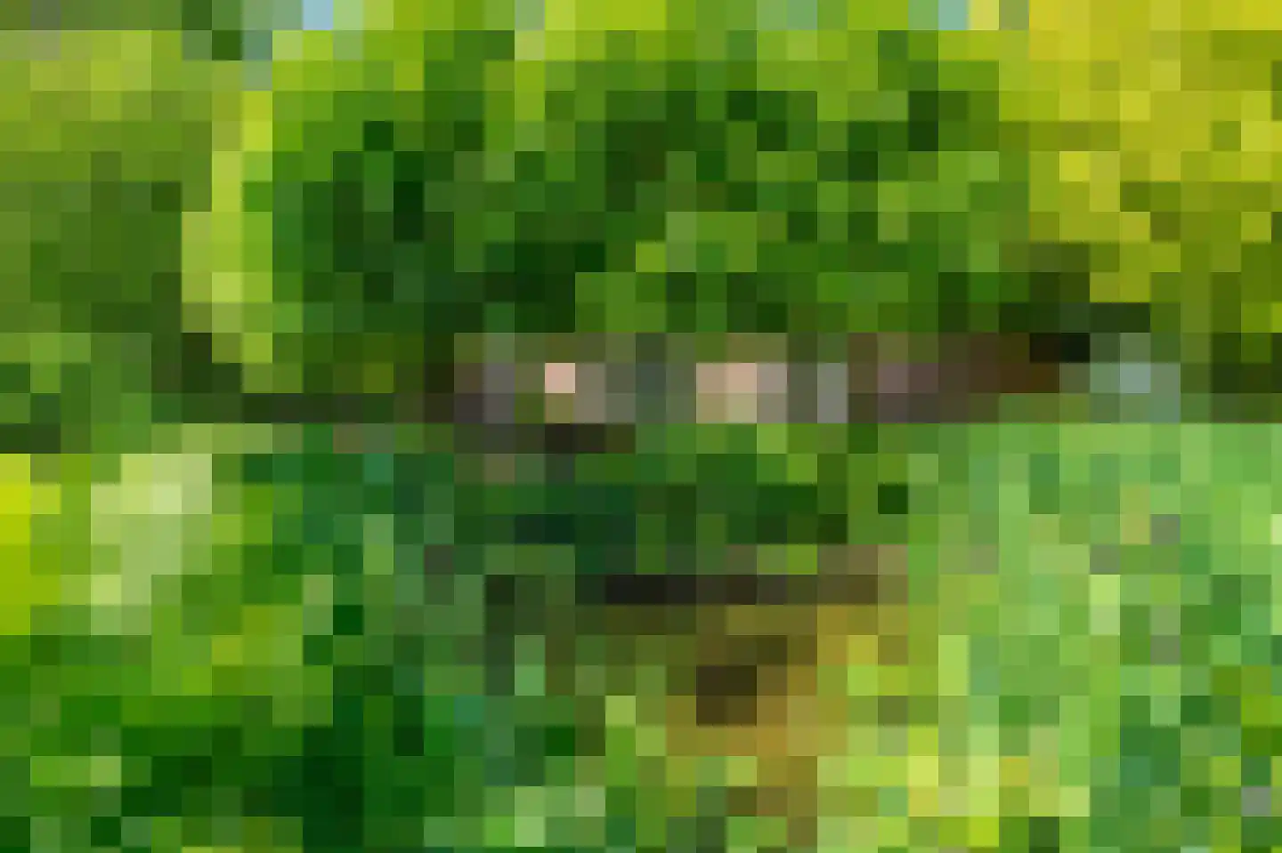 Moddermanspad 4 Bourtange thumbnail 17