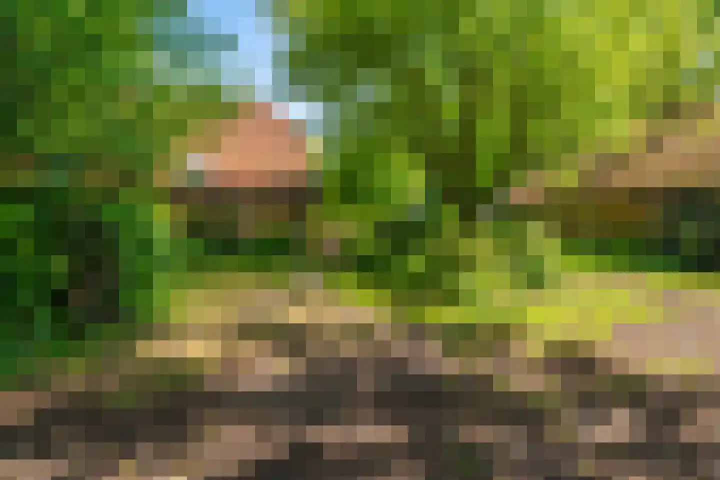 Moddermanspad 4 Bourtange thumbnail 18