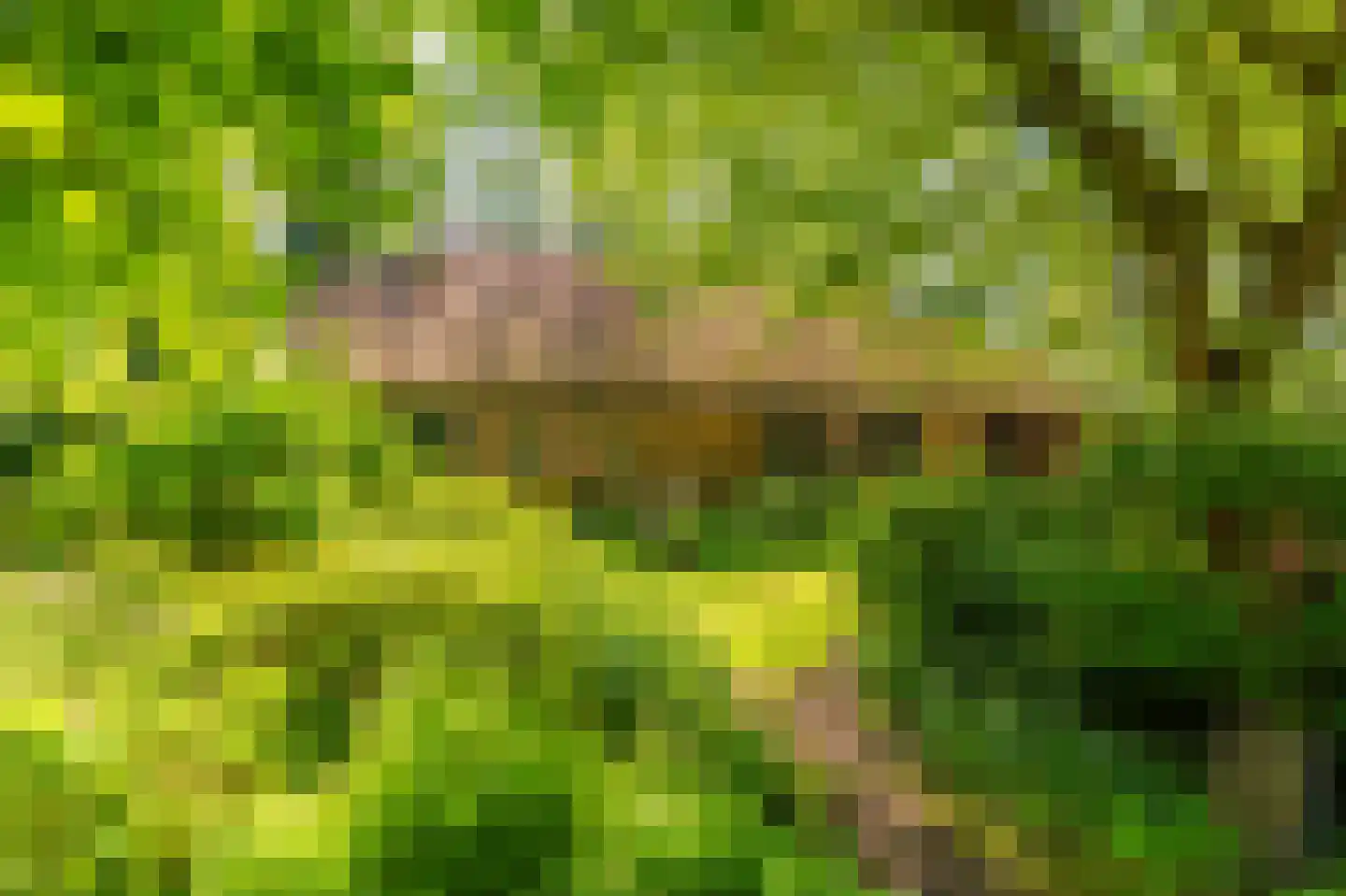 Moddermanspad 4 Bourtange thumbnail 19