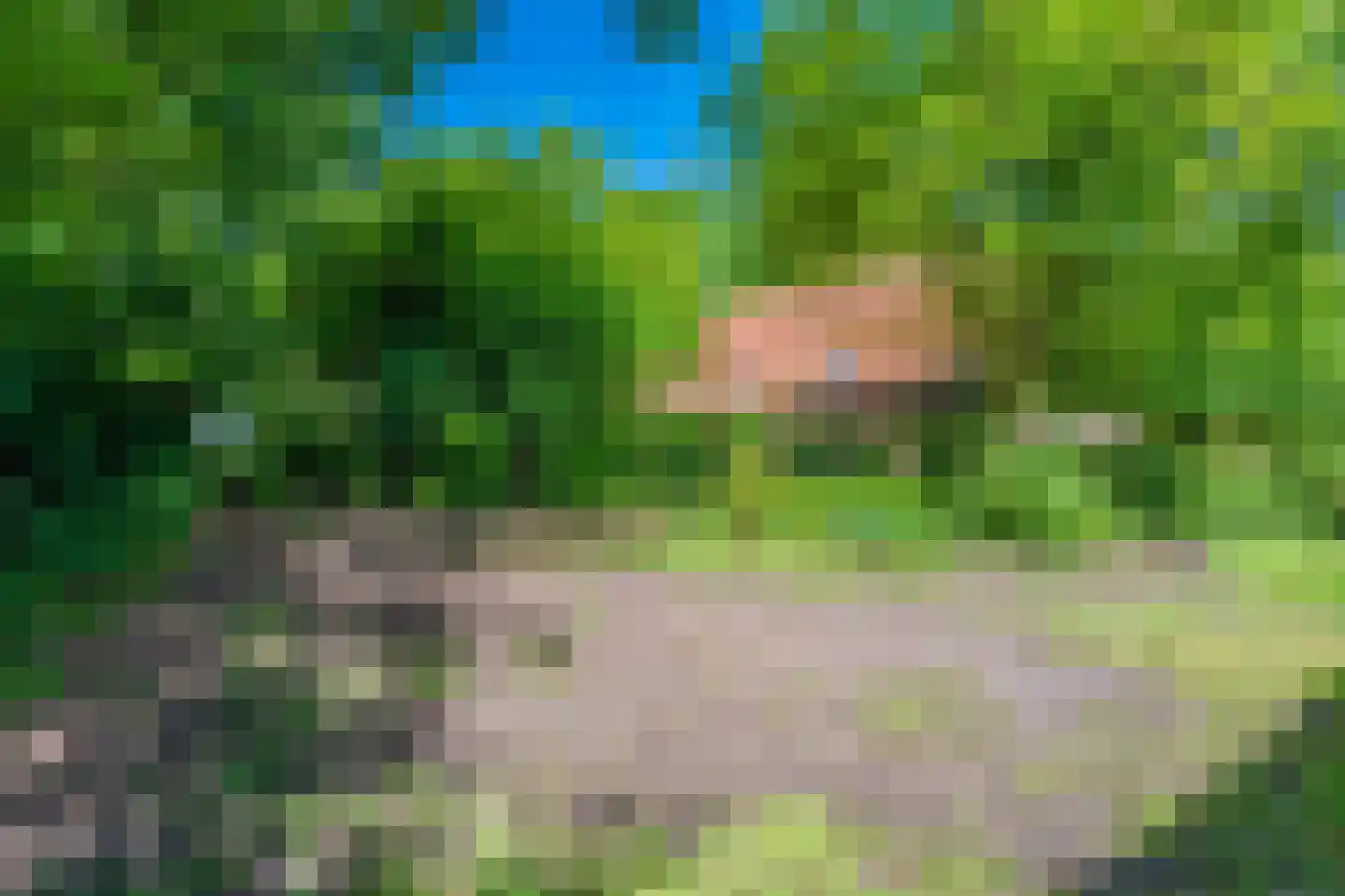 Moddermanspad 4 Bourtange thumbnail 20