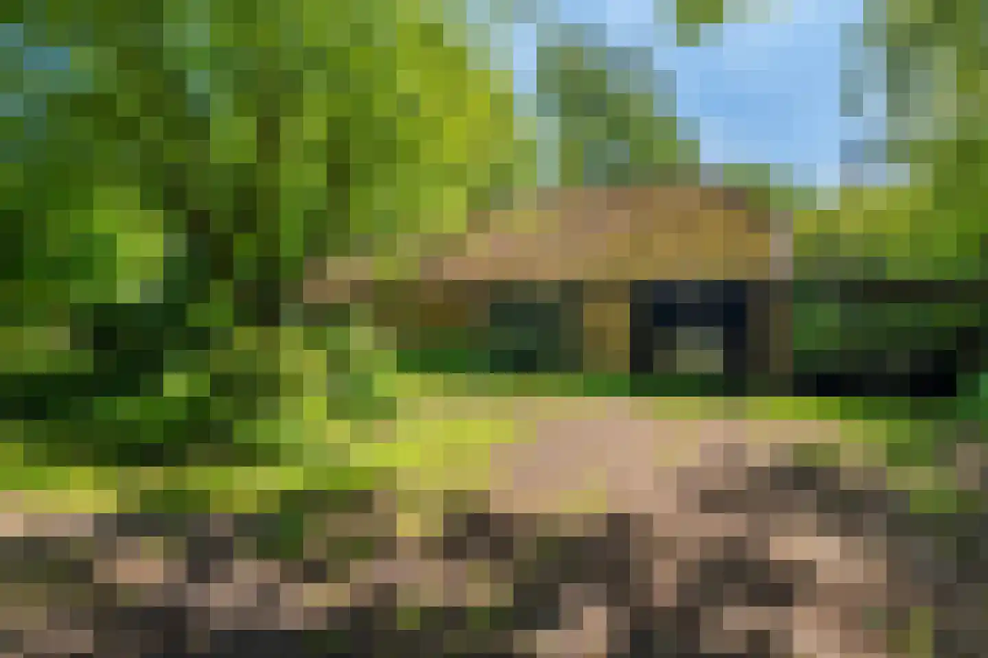 Moddermanspad 4 Bourtange thumbnail 21