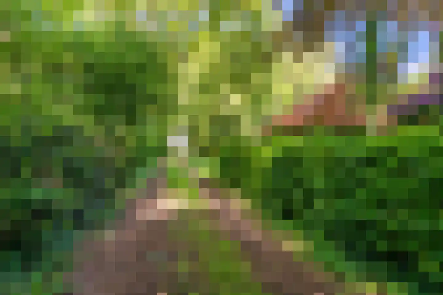 Moddermanspad 4 Bourtange thumbnail 22