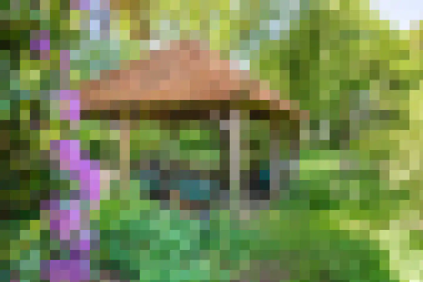 Moddermanspad 4 Bourtange thumbnail 23