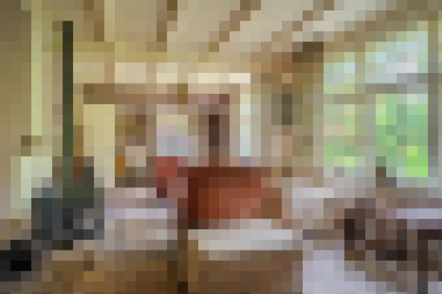 Moddermanspad 4 Bourtange thumbnail 28