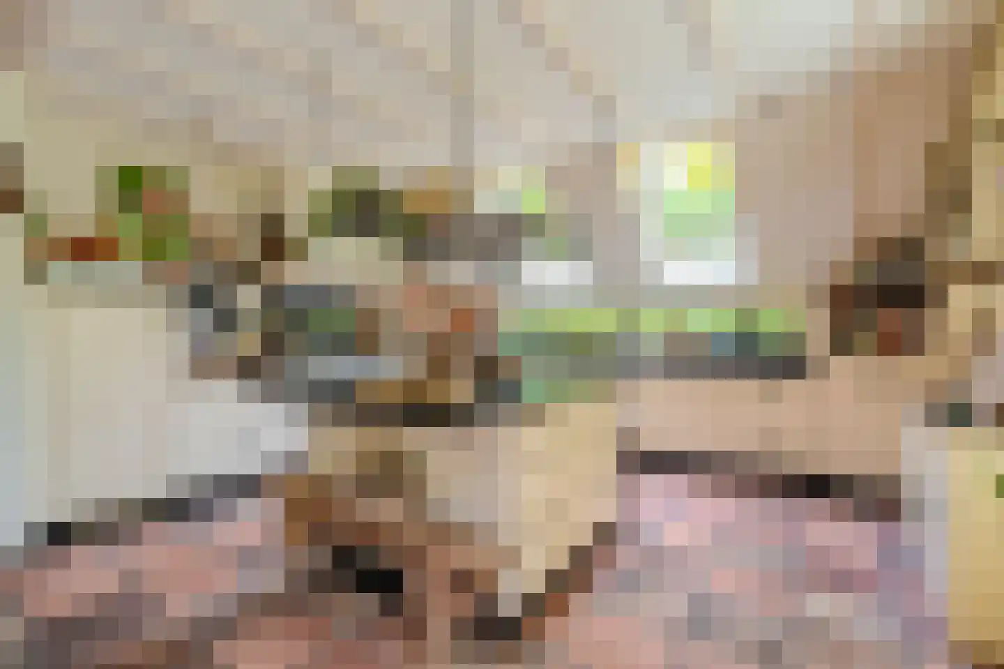 Moddermanspad 4 Bourtange thumbnail 30