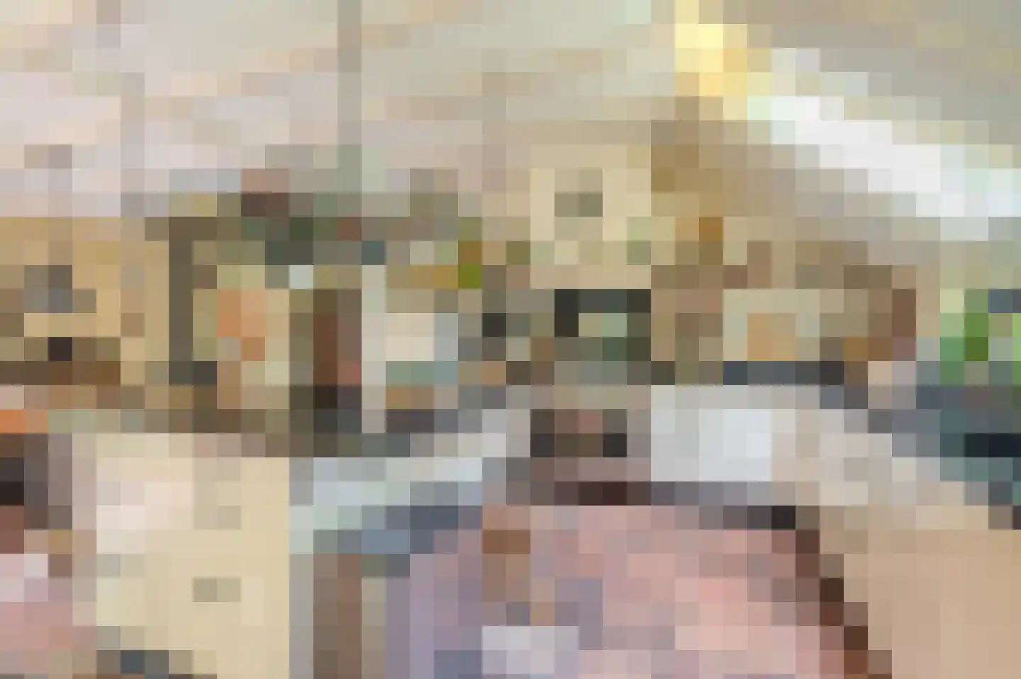 Moddermanspad 4 Bourtange thumbnail 31