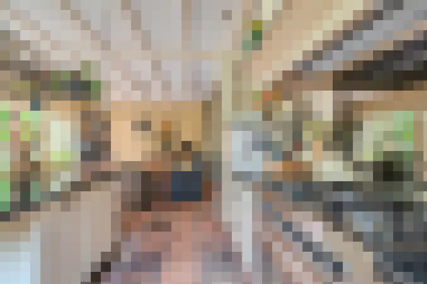 Moddermanspad 4 Bourtange thumbnail 32