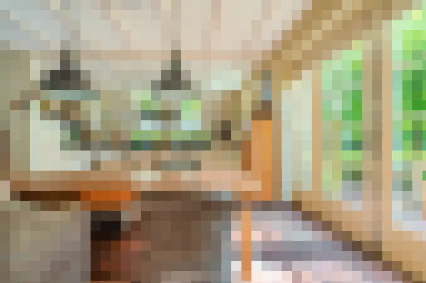 Moddermanspad 4 Bourtange thumbnail 34