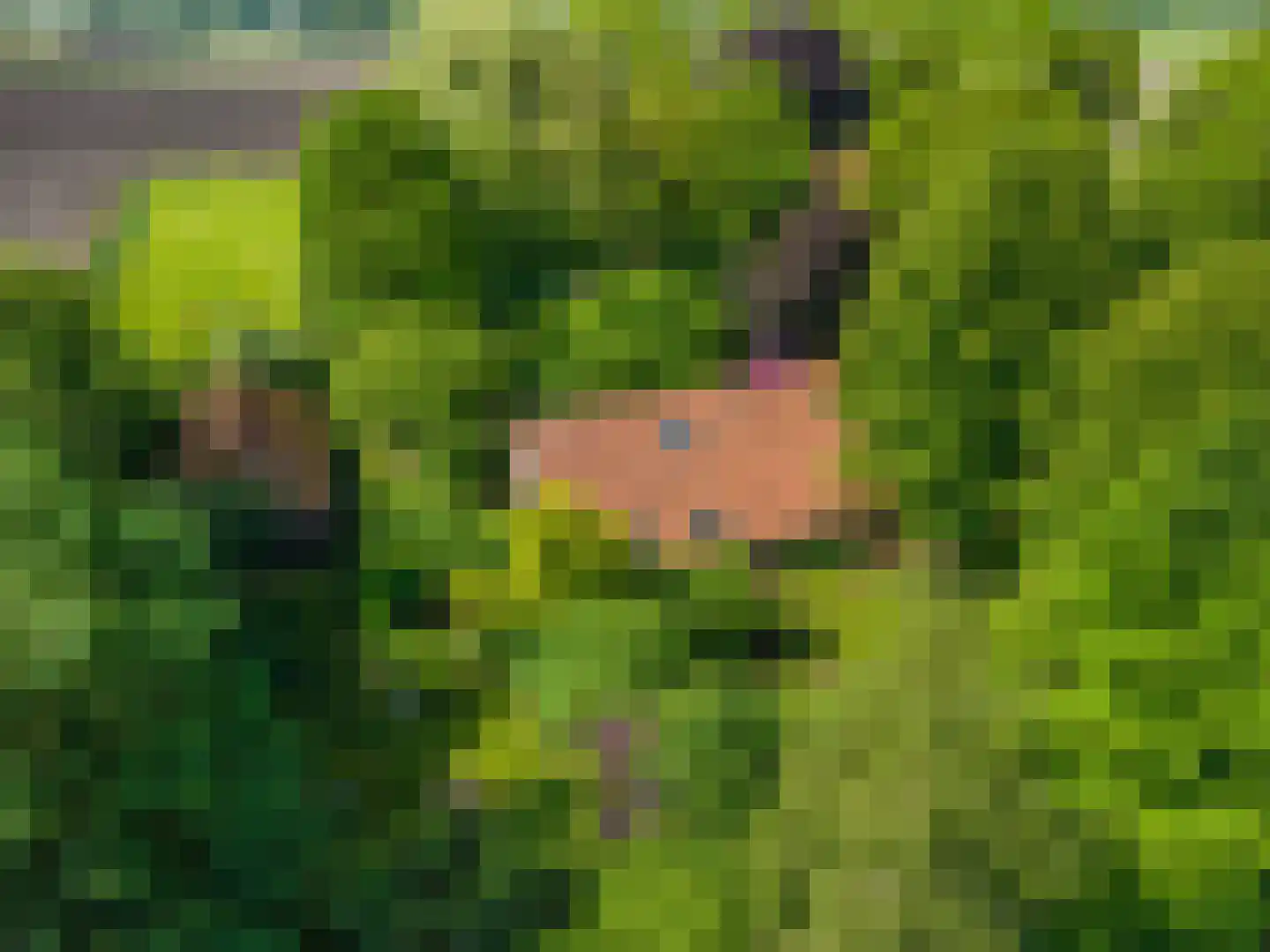Moddermanspad 4 Bourtange thumbnail 4
