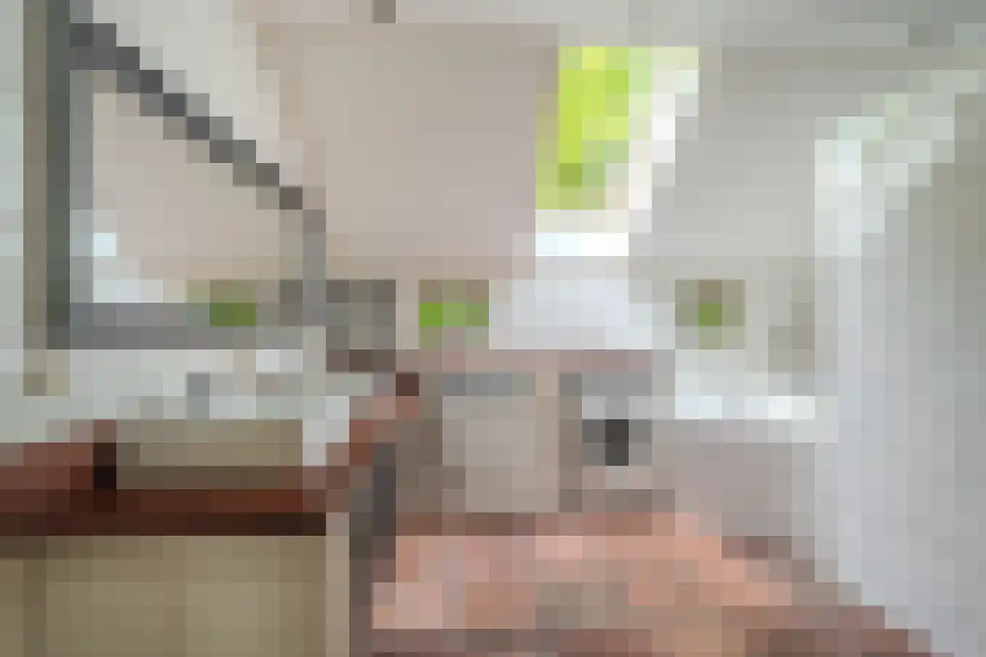 Moddermanspad 4 Bourtange thumbnail 42
