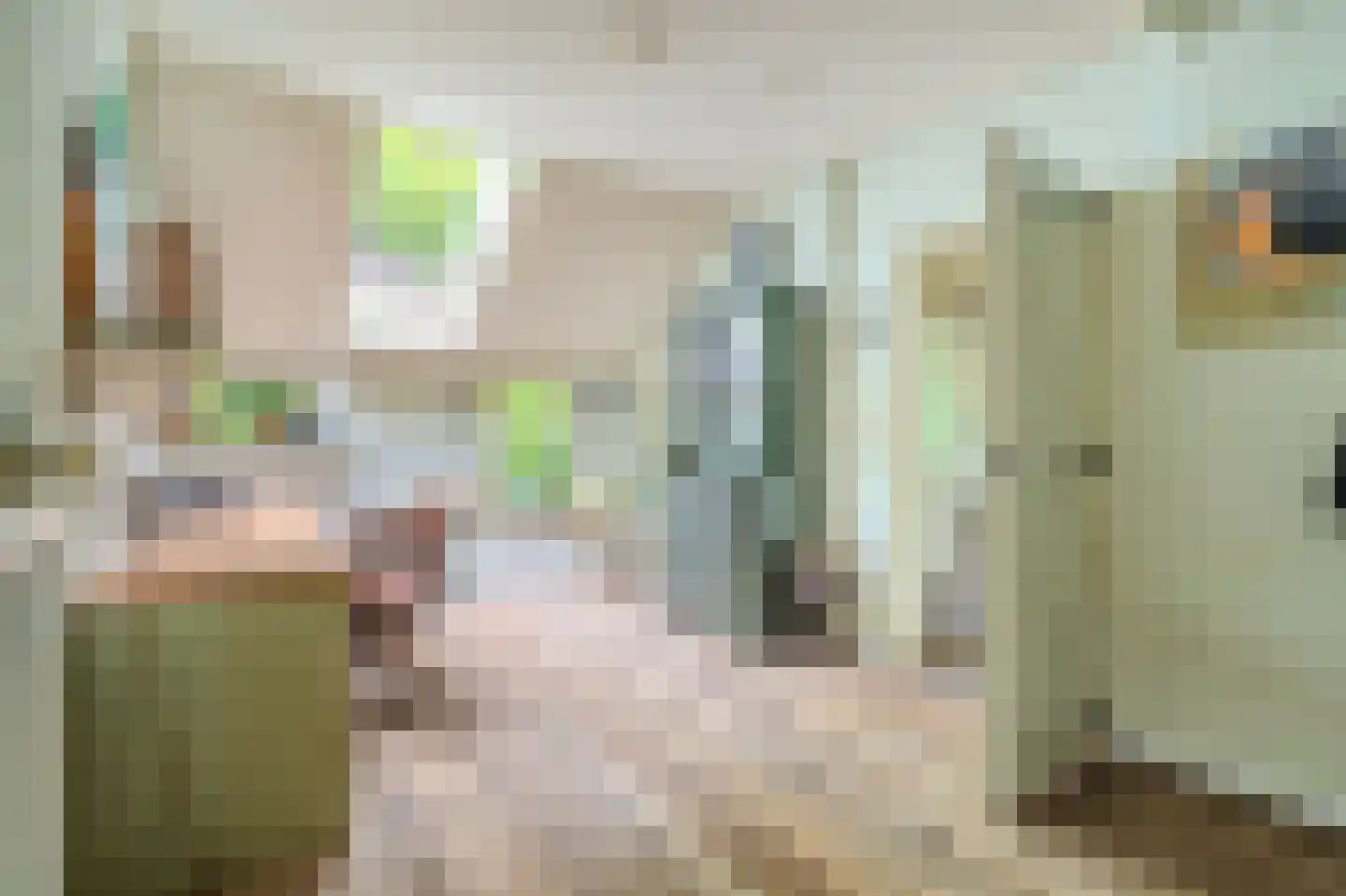 Moddermanspad 4 Bourtange thumbnail 45