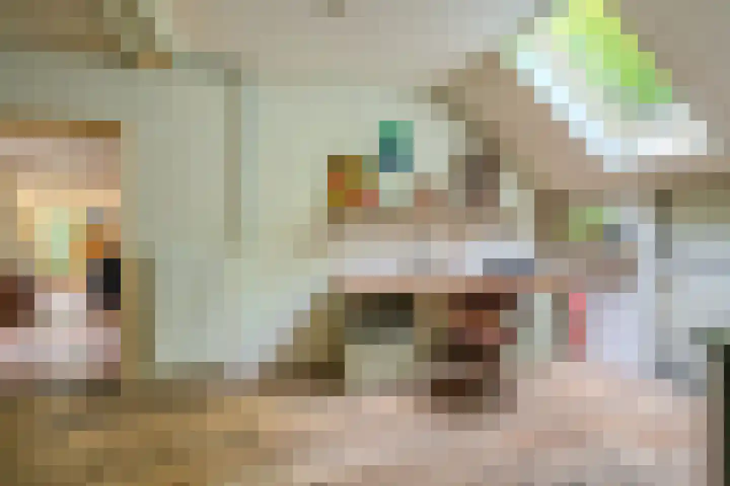 Moddermanspad 4 Bourtange thumbnail 46