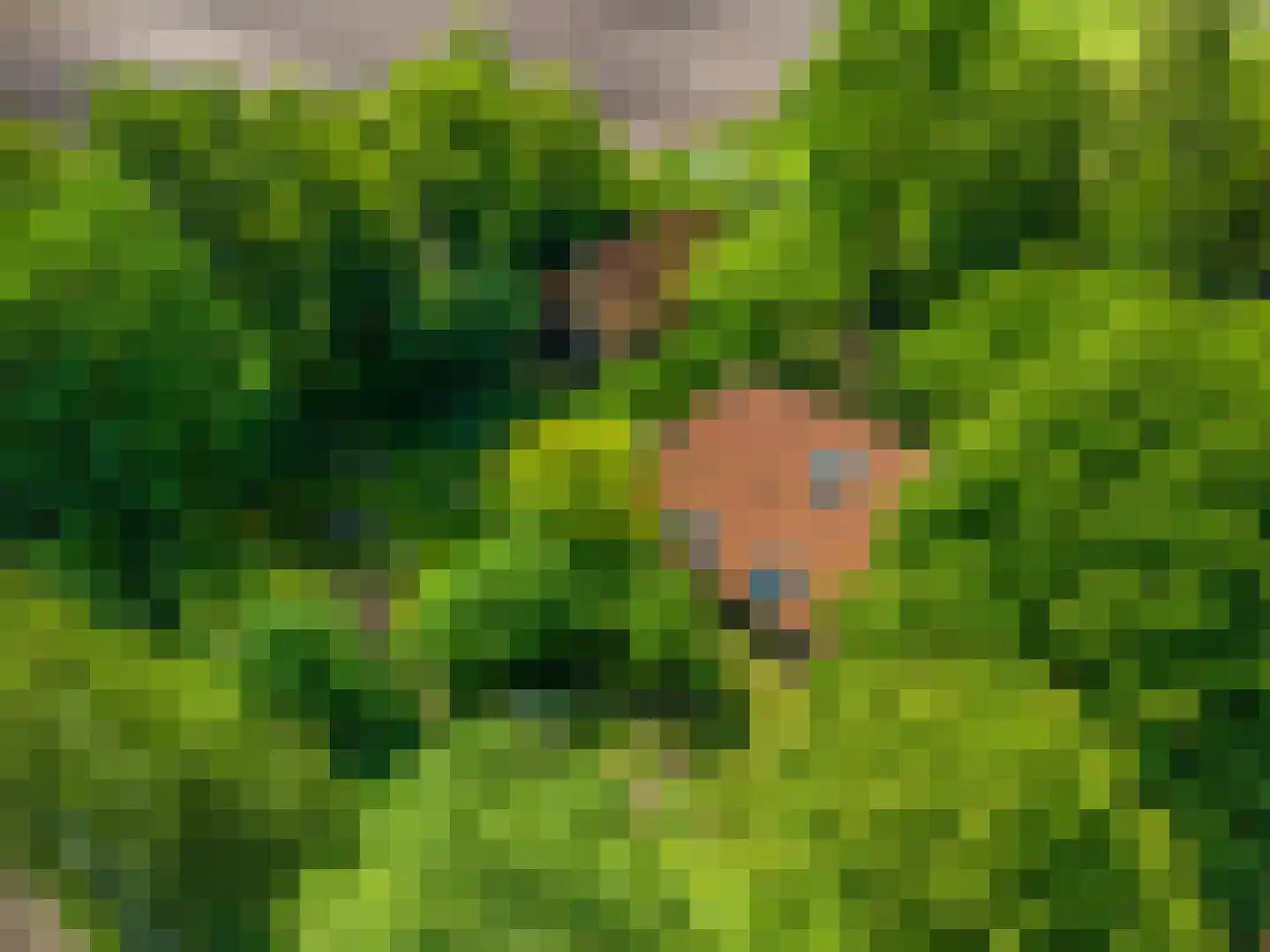 Moddermanspad 4 Bourtange thumbnail 5