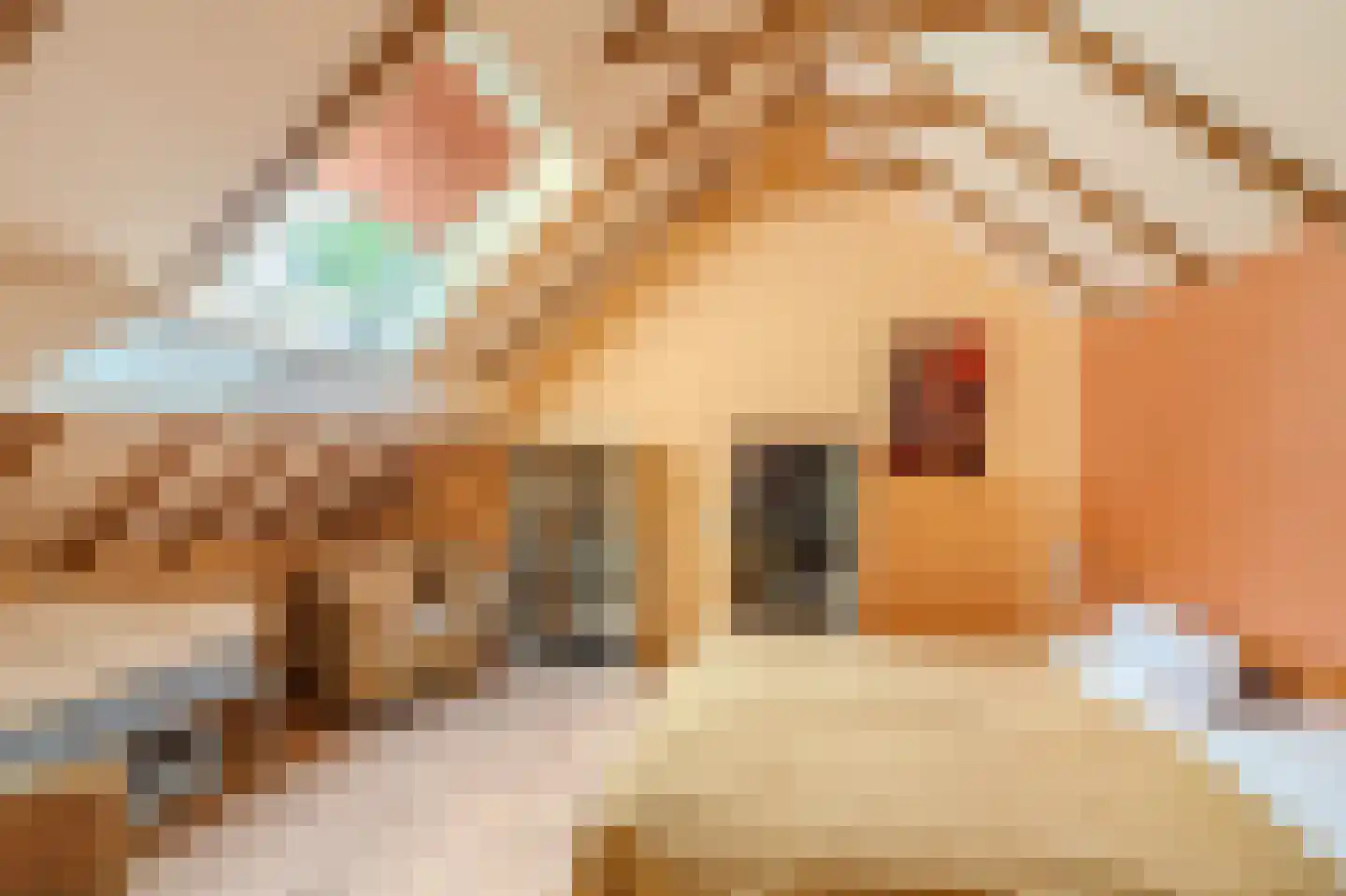 Moddermanspad 4 Bourtange thumbnail 54