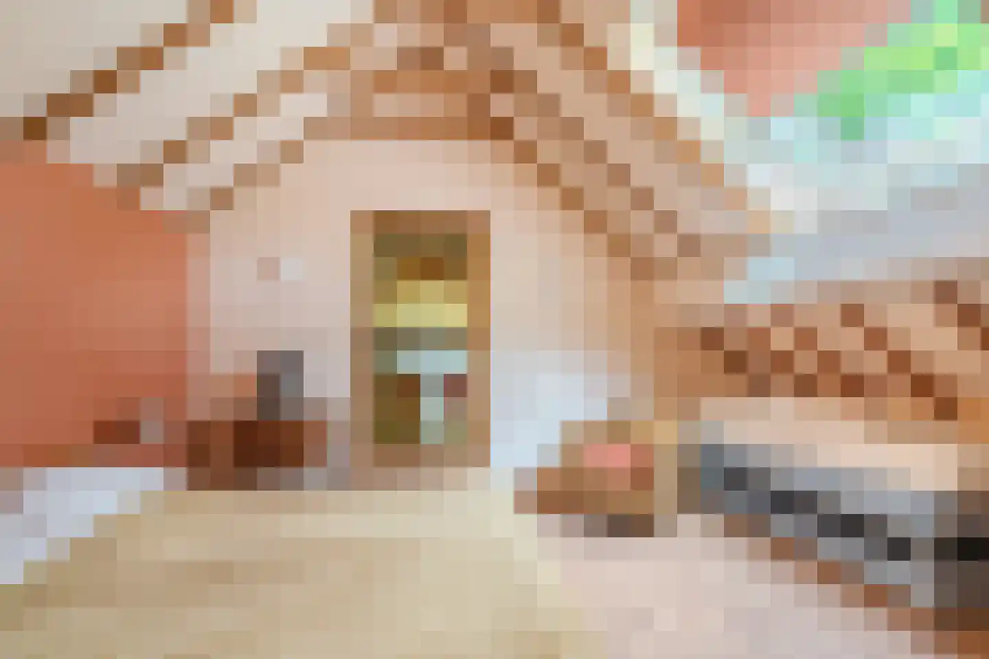 Moddermanspad 4 Bourtange thumbnail 55