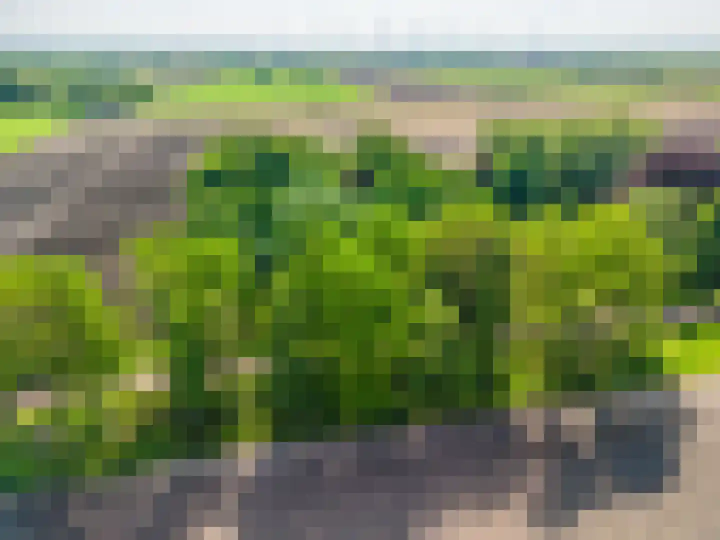 Moddermanspad 4 Bourtange thumbnail 7