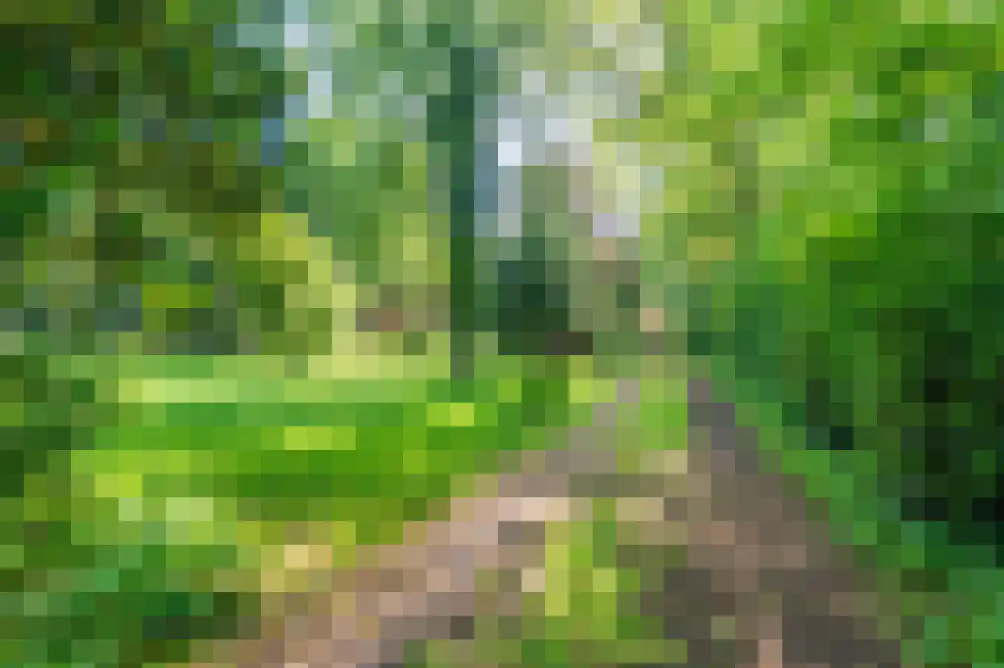 Moddermanspad 4 Bourtange thumbnail 9
