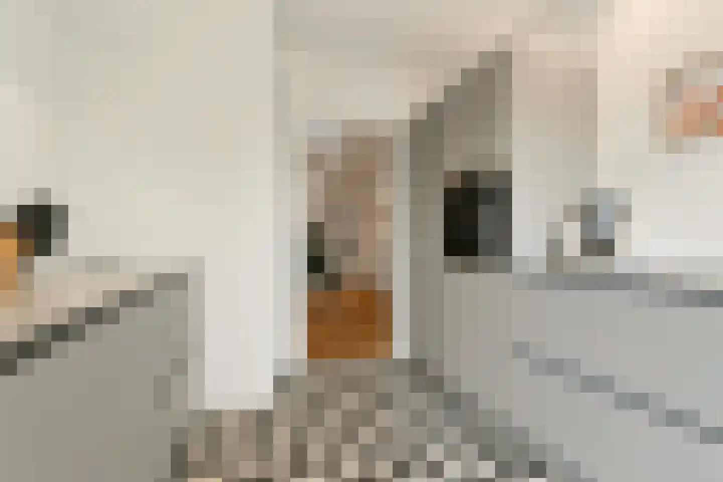 Moddermanstraat 6 Leiden thumbnail 18