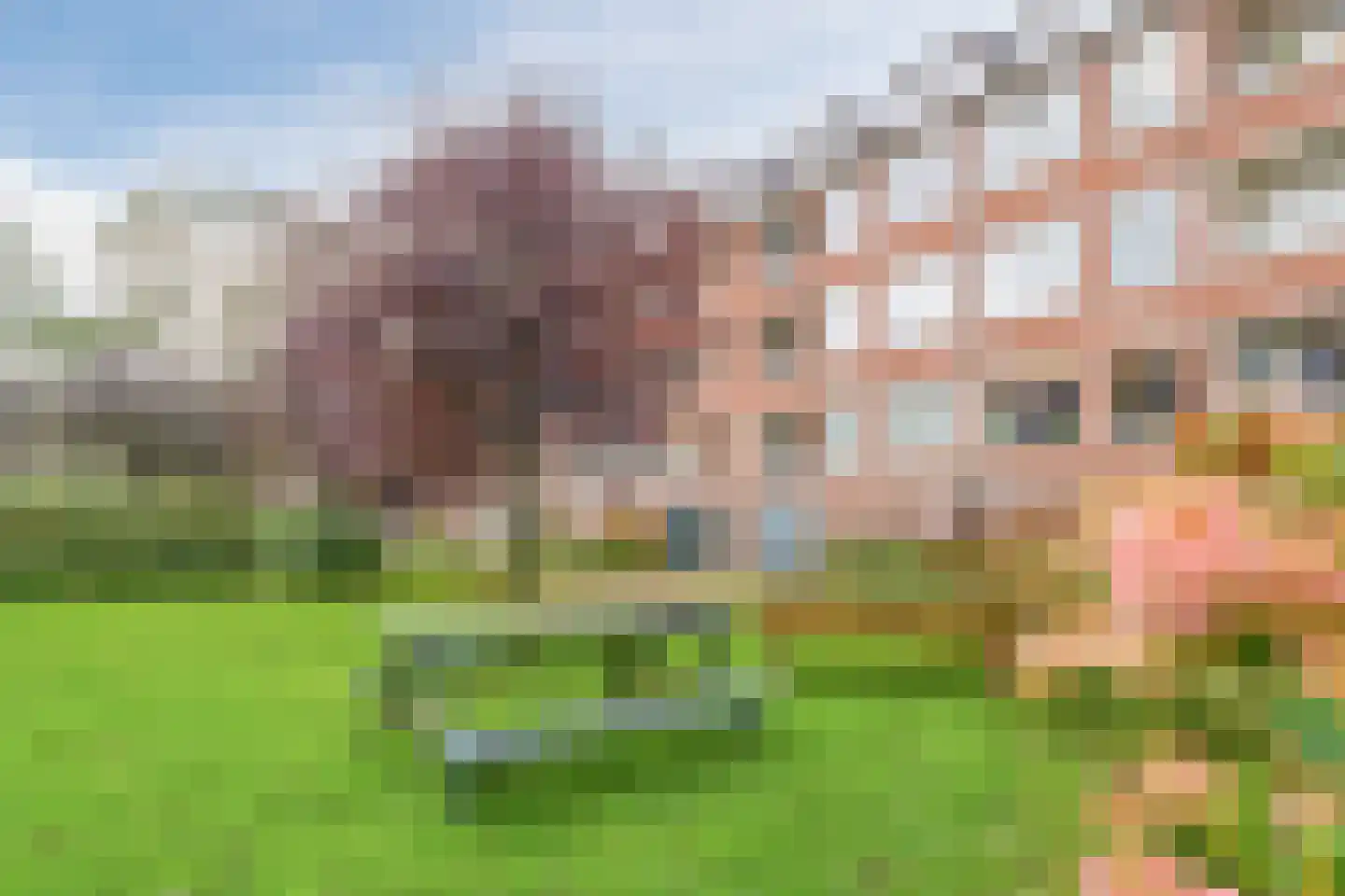 Moddermanstraat 6 Leiden thumbnail 45
