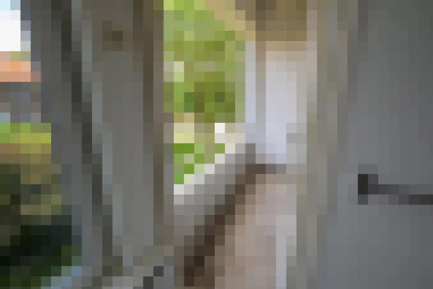 Moddermanstraat 84 Leiden thumbnail 20