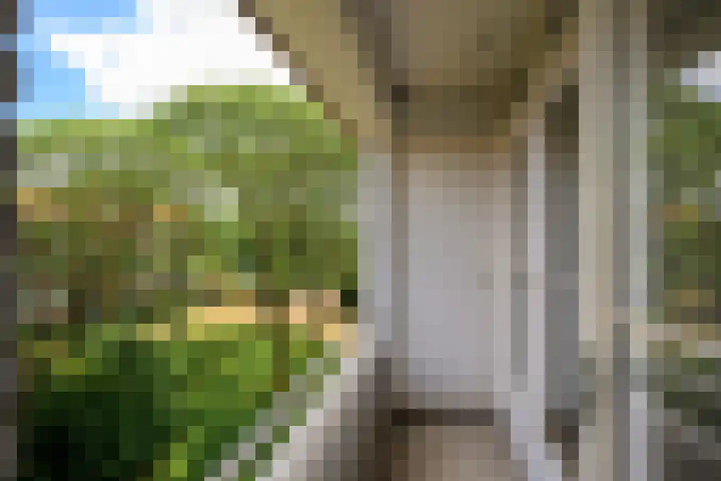 Moddermanstraat 84 Leiden thumbnail 21