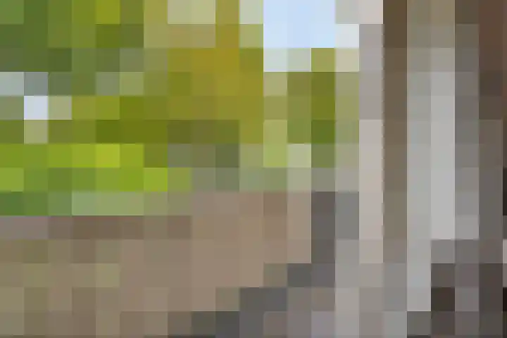 Moddermanstraat 9 Oss thumbnail 16