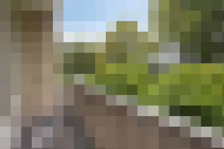 Moddermanstraat 9 Oss thumbnail 17