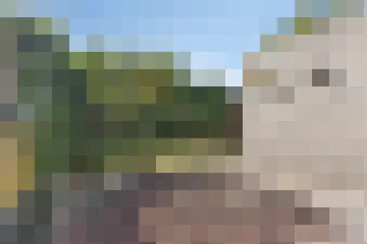 Moddermanstraat 9 Oss thumbnail 26