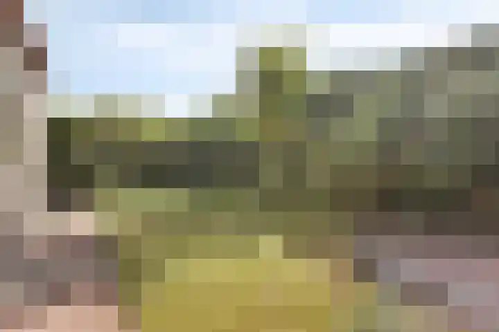 Moddermanstraat 9 Oss thumbnail 27