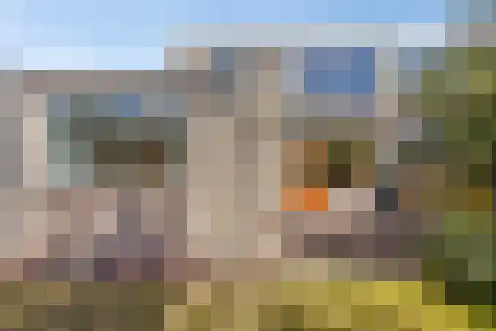 Moddermanstraat 9 Oss thumbnail 29