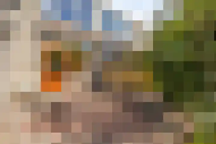 Moddermanstraat 9 Oss thumbnail 30