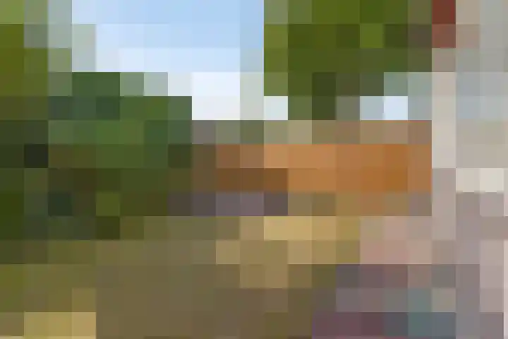 Moddermanstraat 9 Oss thumbnail 31